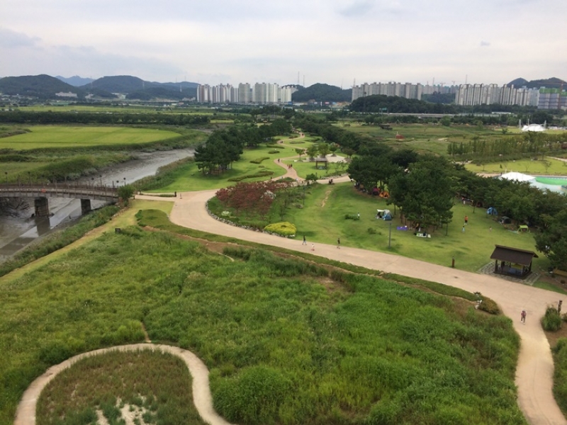 시흥갯골생태공원
